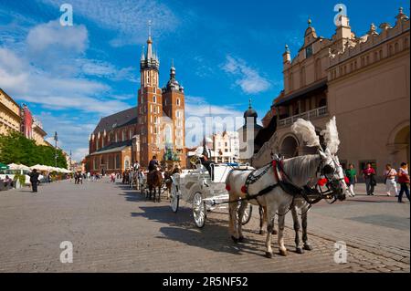 Fiaker auf der Rynek, St. Marienkirche, Krakau, Kleinpolen, Krakau, Polen Stockfoto