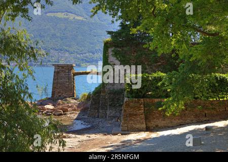 Strand, Isole di Brissago, Lago Maggiore, Ticino, Lago Maggiore, Tessin, Brissago-Inseln, Schweiz Stockfoto