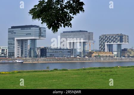 Kranhaus, Kranhäuser, Suedkai, Rheinauhafen, Köln, Nordrhein-Westfalen, Deutschland Stockfoto