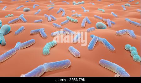 Hautmikrobiota, Illustration Stockfoto