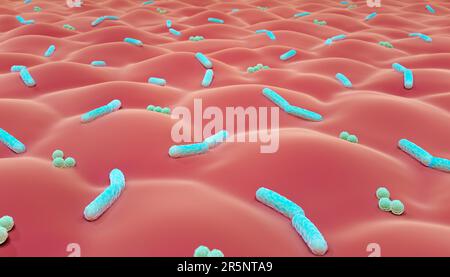 Bakterien auf der Haut, Illustration Stockfoto