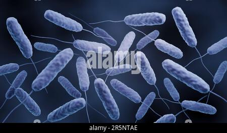 Vibrio cholerae-Bakterien, Illustration Stockfoto