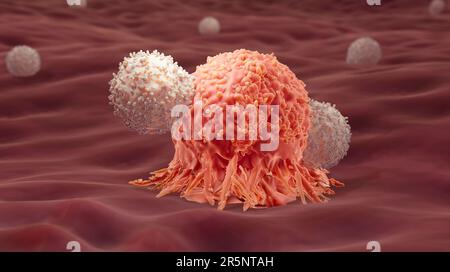 T-Zellen greifen eine Krebszelle an, Illustration Stockfoto