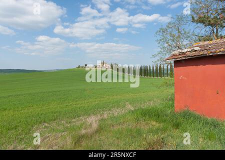 Eine Reihe typisch toskanischer Zypressen führt zu einem fernen Bauernhaus vom roten Schuppen auf der Straße, Italien. Stockfoto