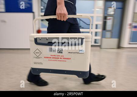 Datei Foto vom 30/11/2017 eines NHS Blood and Transplant Small Human Organ in Transit Box am St George's Hospital in Tooting, West London. Ein Bluttest, der nach sogenannten „Zombie-Zellen“ sucht, könnte die Anzahl der für eine Transplantation verfügbaren Herzen erhöhen, so neue Forschungsergebnisse. Derzeit werden Herzen von Spendern im Alter von über 65 Jahren aufgrund der Wahrscheinlichkeit eines schlechten Ergebnisses nicht zur Spende angenommen. Allerdings altern die Herzen mit unterschiedlichen Raten und das Alter ist nicht unbedingt der beste Indikator für die Herzgesundheit, sagen Experten. Ausgabedatum: Montag, 5. Juni 2023. Stockfoto