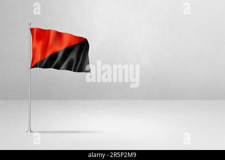 Anarchieflagge, 3D Abbildung, isoliert auf Weiß Stockfoto