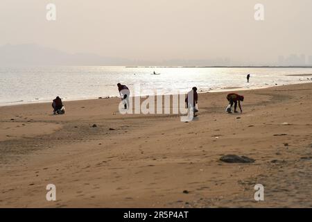 YANTAI, CHINA - 5. JUNI 2023 - Freiwillige holen Garbages am Golden Beach in Yantai, Ost-Chinas Provinz Shandong ab, 5. Juni 2023. Juni 5. Stockfoto