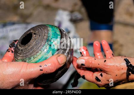 Die Raku-Herstellung ist ein komplexer Prozess, der die Grundprinzipien der traditionellen Majolica-Herstellung völlig umkippt Stockfoto