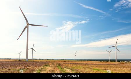Windpark in der Nähe landwirtschaftlicher Felder. Windmühlen erzeugen saubere Energie. Die Ostsee in der Ferne. Darlowo, Polen Stockfoto