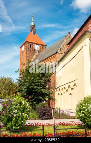 Kirche der Heiligen Jungfrau Maria der Himmelfahrt. Darlowo, Polen Stockfoto