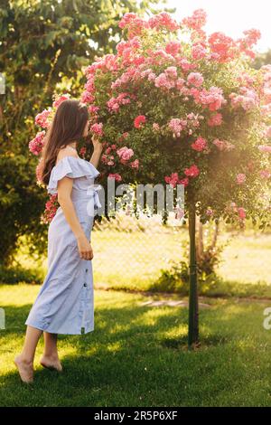 Sommerporträt im Freien einer wunderschönen jungen Frau, die frische rosa Rosen im Garten riecht, Rückansicht Stockfoto