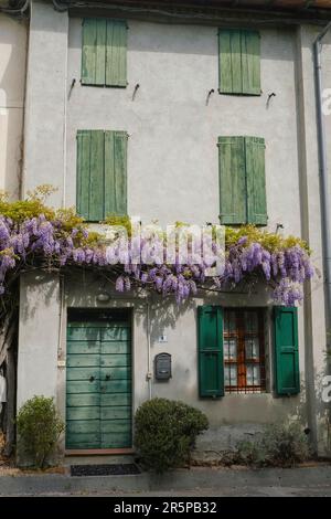 Antikes Haus mit grünen Holztüren und Fensterläden an den Fenstern. Wisteria-Blumen an der Fassade des Gebäudes. Europäische Provinz Stockfoto