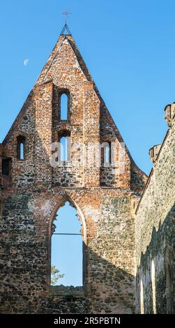Rosa coeli, Ruinen der Kirche und des Klosters, Dolni Kounice in der Nähe der Stadt Ivancice, Südmähren, Tschechische Republik Stockfoto