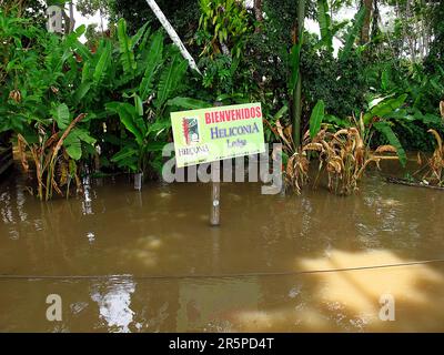 Die Lodge am Amazonas in Peru und Brasilien Stockfoto