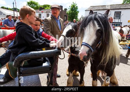 Die historische Appleby Horse Fair, Appleby-in-Westmorland, Cumbria, England, Großbritannien Stockfoto