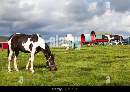 Die historische Appleby Horse Fair, Appleby-in-Westmorland, Cumbria, England, Großbritannien Stockfoto