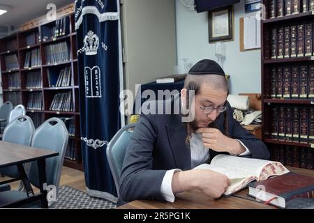 Ein chassidischer Jude mit langem Peyot studiert den Talmud in einer leeren Synagoge in Monsey, New York. Stockfoto