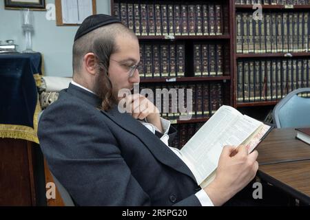 Ein chassidischer Jude mit langem Peyot studiert den Talmud in einer leeren Synagoge in Monsey, New York. Stockfoto