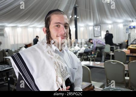 Ein orthodoxer jüdischer Mann mit langen geschwungenen Peyus posiert für ein Foto mit seinen tallis auf der Schulter. In Monsey, New York. Stockfoto