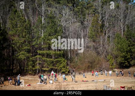 Bauern, die im Schlamm graben, um Reisfelder zu kreieren. Stockfoto