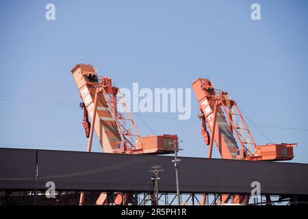 Port Waratah in Newcastle ist der weltweit größte Kohlehafen. Kohle aus offenen Kohlebergwerken im Hunter Valley wird von hier aus rund um die Welt exportiert, vor allem nach China. Stockfoto