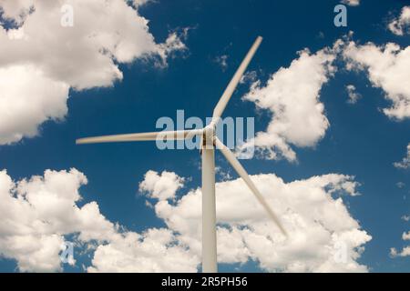 In Newcastle, dem weltweit größten Kohlehafen in New South Wales, Australien, steht eine einsame Windturbine, die auf eine nachhaltigere Zukunft hinweist. Stockfoto