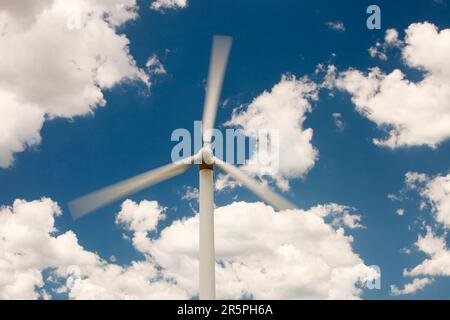 In Newcastle, dem weltweit größten Kohlehafen in New South Wales, Australien, steht eine einsame Windturbine, die auf eine nachhaltigere Zukunft hinweist. Stockfoto