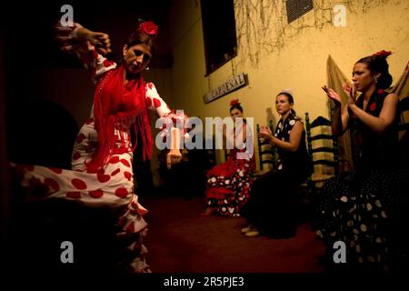 Ein Flamenco-Tänzer oder Bailaora tanzt, während andere in Cordoba, Andalusien, Spanien, klatschen. Stockfoto