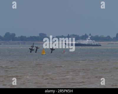 Sheerness, Kent, Großbritannien. 5. Juni 2023. Die Superyacht-Feier sah heute Morgen Sheerness in Kent passieren. Kredit: James Bell/Alamy Live News Stockfoto