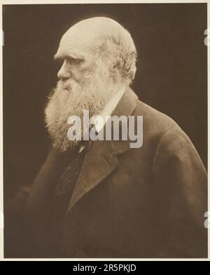 Charles Darwin Datum: c. 1868, gedruckt 1875 Künstlerin: Julia Margaret Cameron Englisch, 1815–1879 Stockfoto