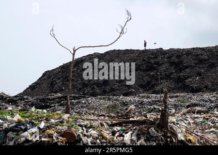 Kalkutta, Indien. 28. Mai 2021. Ein toter Baum in einem Schrottplatz am Stadtrand von Kalkutta voller schädlicher Plastikmaterialien, während ein Mann über dem Schrottplatz steht. Kredit: SOPA Images Limited/Alamy Live News Stockfoto