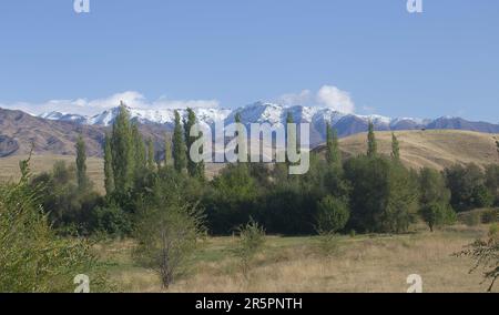 Im Tian-Shan-Gebirge (Kirgisische Seite) Stockfoto