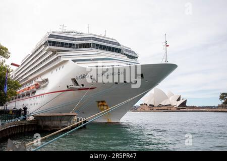 Carnival Pracht Kreuzfahrtschiff liegt im Passagierterminal Übersee, Circular Quay, Sydney, NSW, Australien Stockfoto