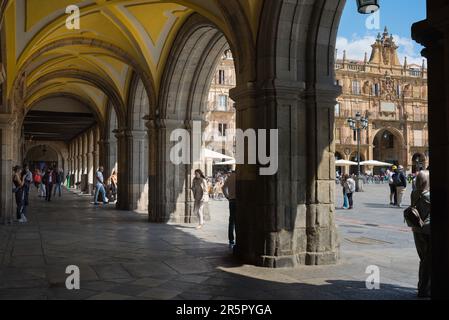 Salamanca Arcade, Blick von der Arkade unter dem Rathaus auf der Plaza Mayor auf die erhabene barocke Ostseite des Platzes, Spanien Stockfoto