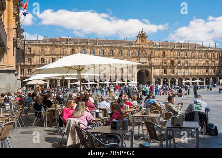 Plaza Mayor Salamanca, Blick im Sommer auf die Leute, die sich an den Kaffeetischen im Plaza Mayor in der historischen spanischen Stadt Salamanca, Castilla Y Leon, entspannen Stockfoto