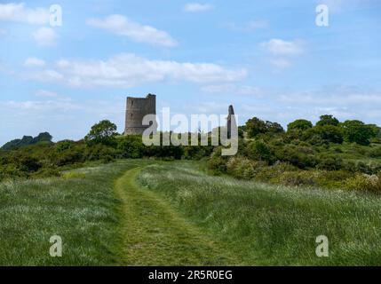 Von einem üppig bepflanzten Pfad aus sehen Sie die Ruinen des Hadleigh Castle aus dem 13. Jahrhundert mit Blick auf Hadleigh Marsh und die Themsenmündung in Essex, Großbritannien Stockfoto