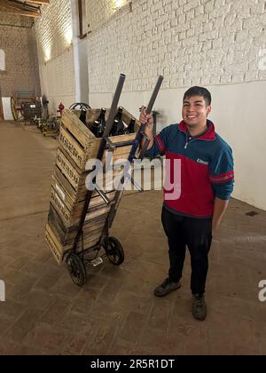 Ein Arbeiter transportiert eine Ladung großer Weinflaschen in der Weinkellerei La Abjea, San Rafael, Argentinien. La Abeja ist das älteste Weingut in San Rafael und wurde 1883 gegründet. Stockfoto