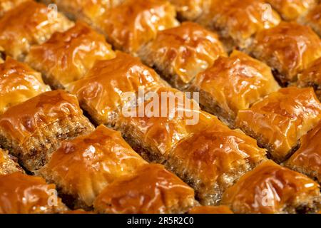 Türkisches Baklava. Butter-Walnuss-Baklava. Türkische Köstlichkeiten. Schließen Stockfoto