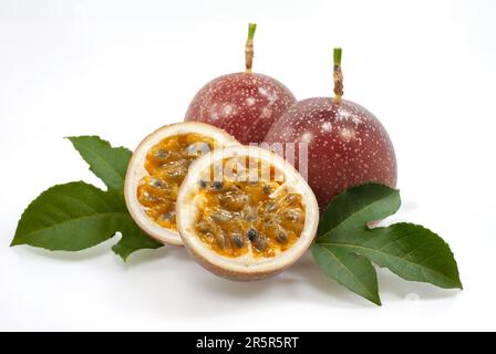 Passionsfrucht/Maracuja isoliert auf weißem Hintergrund Stockfoto