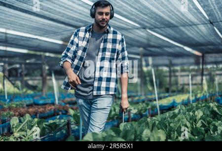 Landarbeiter verbessern die gesunde Work-Life-Balance, indem sie Musik hören und den Körper zum Beat und Rhythmus bewegen. Flexible Arbeitszeitgestaltung, t Stockfoto