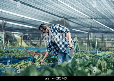 Landarbeiter verbessern die gesunde Work-Life-Balance, indem sie Musik hören und den Körper zum Beat und Rhythmus bewegen. Flexible Arbeitszeitgestaltung, t Stockfoto