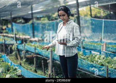 Landarbeiter verbessern die gesunde Work-Life-Balance, indem sie Musik hören und den Körper zum Beat und Rhythmus bewegen. Flexible Arbeitszeitgestaltung, t Stockfoto