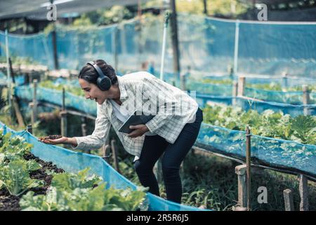 Landarbeiter verbessern die gesunde Work-Life-Balance, indem sie Musik hören und den Körper zum Beat und Rhythmus bewegen. Flexible Arbeitszeitgestaltung, t Stockfoto