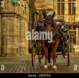 Eine Pferdekutsche parkt auf dem Grand Place im Zentrum von Brüssel, Belgien. Stockfoto