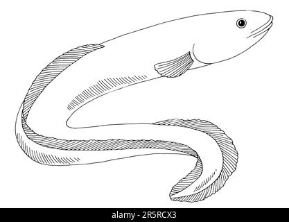 Akne-Fisch-Grafik schwarz-weiß isolierter Illustrationsvektor Stock Vektor