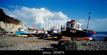 England. Ich Bin Devon. Bier. Fischerboote am Kieselstrand. Stockfoto