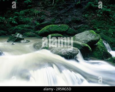 England. Cumbria. Ambleside. Stock Ghyll Force, schnell fließender Strom. Stockfoto
