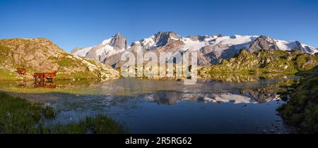 Lerie-See im Oisans-Massiv mit Panoramablick auf den Gipfel La Meije im Ecrins-Nationalpark bei Sonnenuntergang. Emparis Plateau. Hautes-Alpes, Alpen, Frankreich Stockfoto