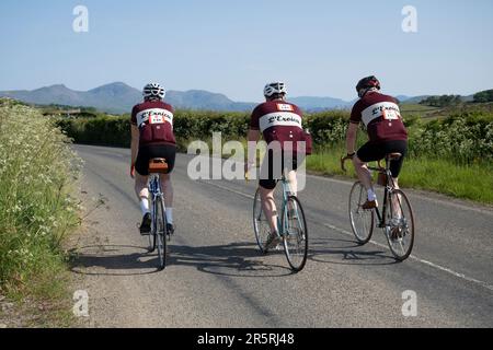 Drei Eroica-Radfahrer auf dem Weg von Ulverston nach Coniston, Cumbria, Großbritannien. Stockfoto