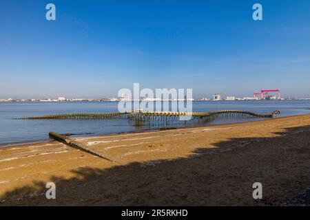 Frankreich, Loire-Atlantique, Saint-Brevin-les-Pins, Mindin, die monumentale Skulptur der Ozeanschlange des chinesischen Künstlers Huang Yong Ping Stockfoto